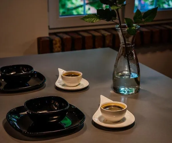 Διαμέρισμα Piastowska No.6 Όλστυν